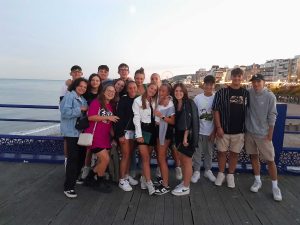 optima english programmes