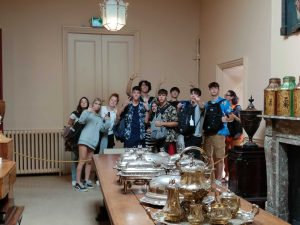 optima english programmes